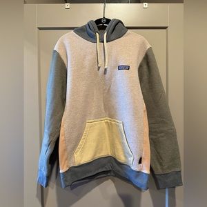 Patagonia Men’s Colorblock Hoodie